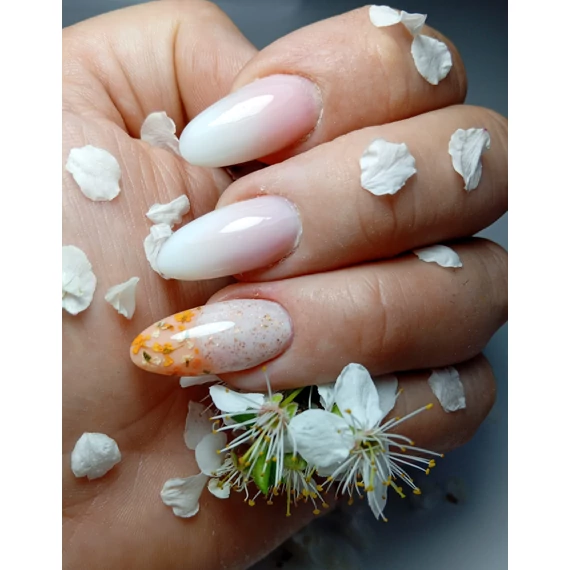 Roniki poly gel - 17 - 30g