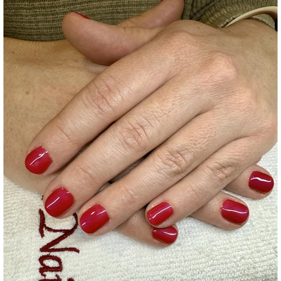 Roniki Rose red széria - 04 gél lakk