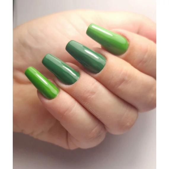 Roniki Forest green széria - 04 gél lakk