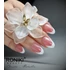 Roniki hema free poly gel - 15 - 10g