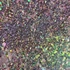 Roniki Prizmatica flakes & glitter 04
