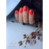Roniki Candy color széria hema free - 10 gél lakk